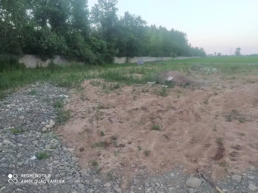 زمین باغی