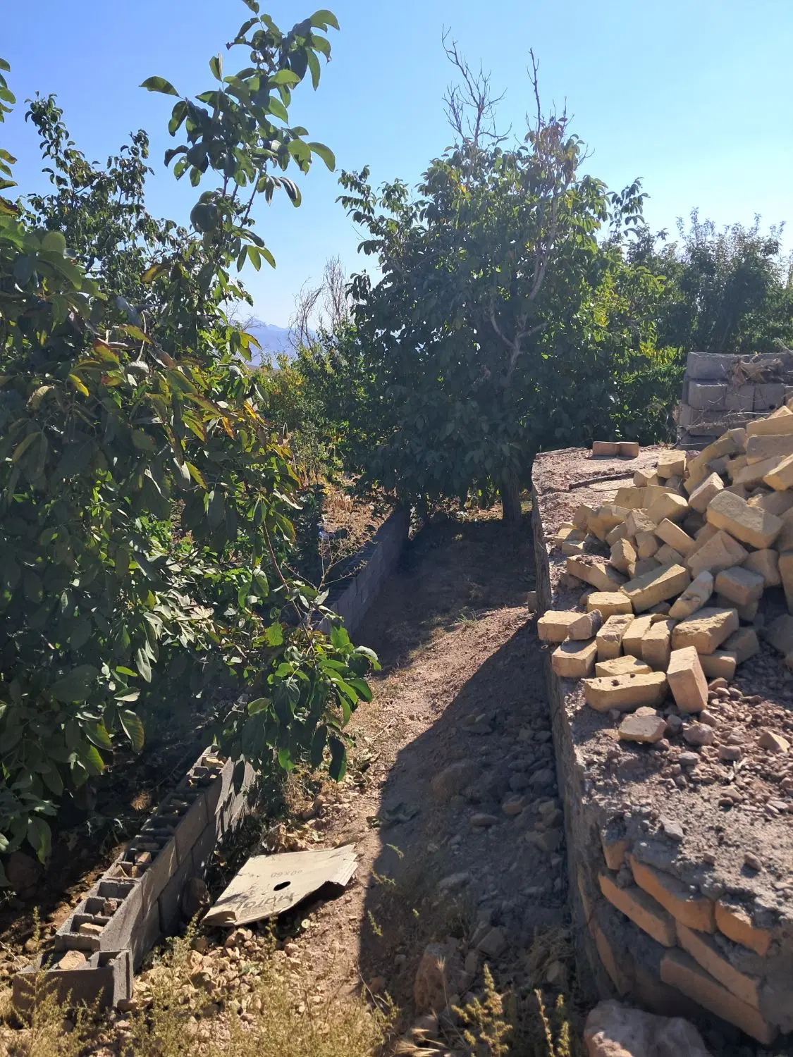 زمین فروشی محمداباد پیشکوه