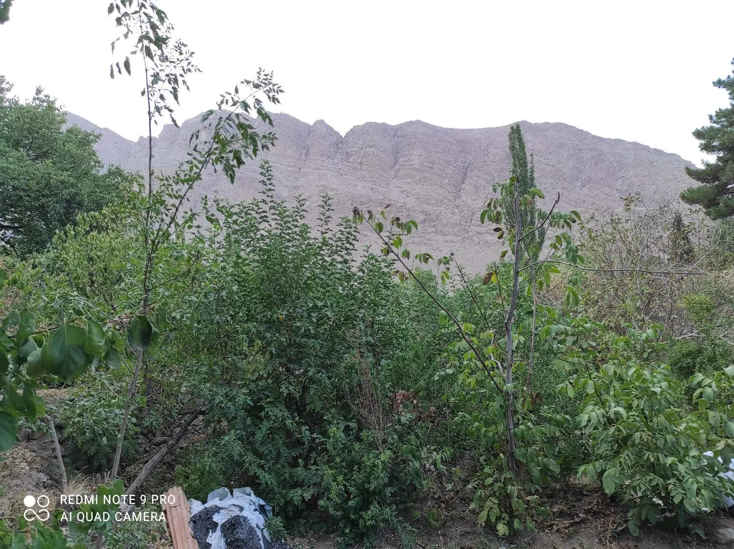زمین روستای دره