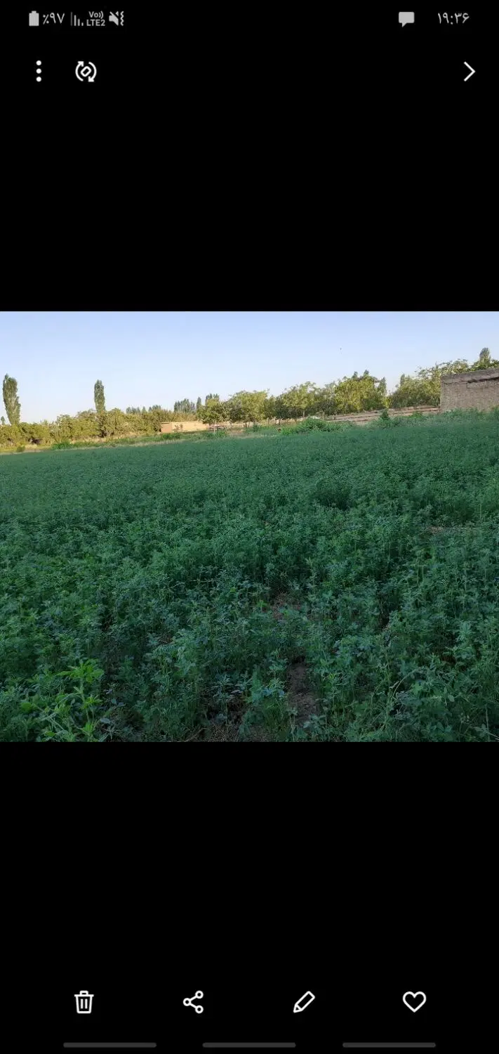 زمین کشاورزی