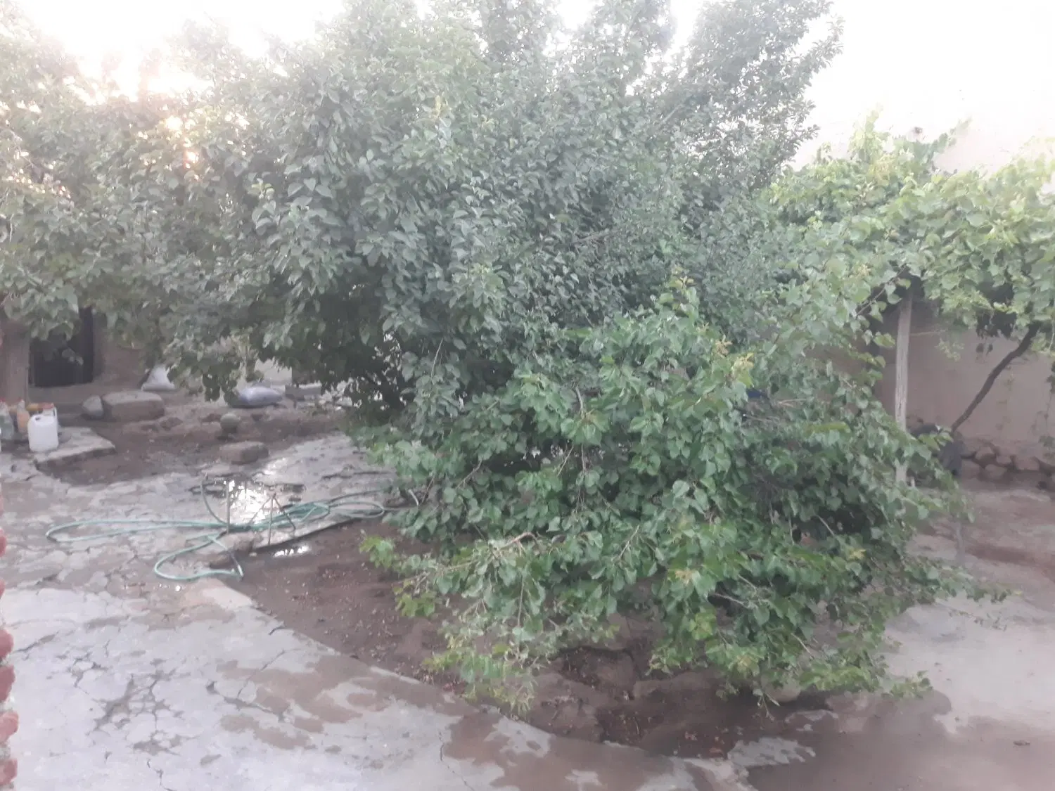 خانه کلنگی