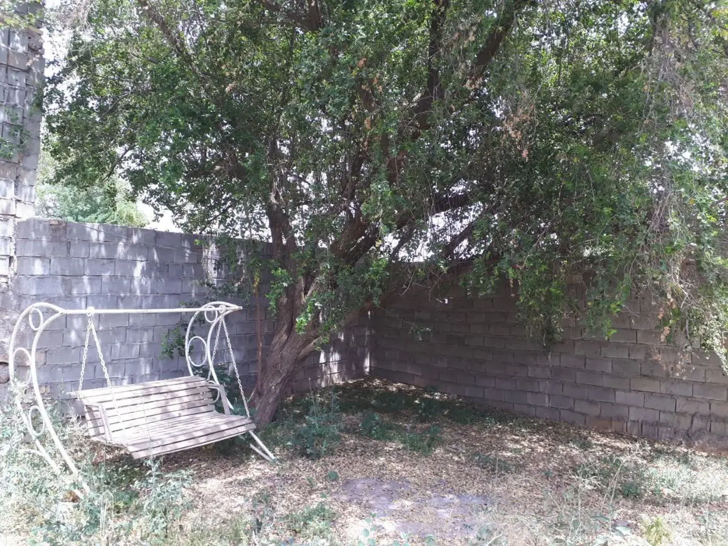 فروش باغ ویلا در روستای بازار ( درب خزینه کوچک)