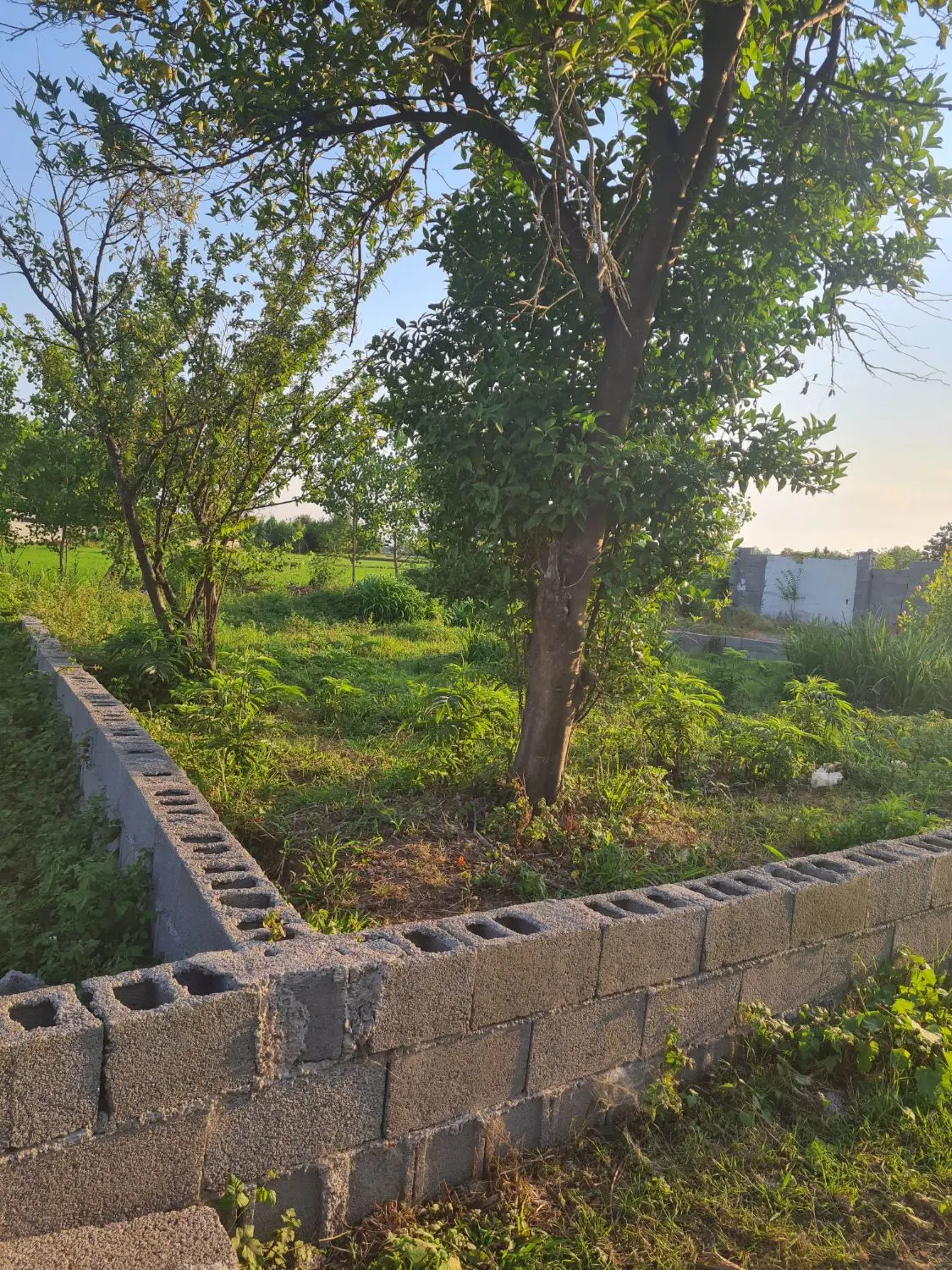 فروش زمین با پروانه ساخت