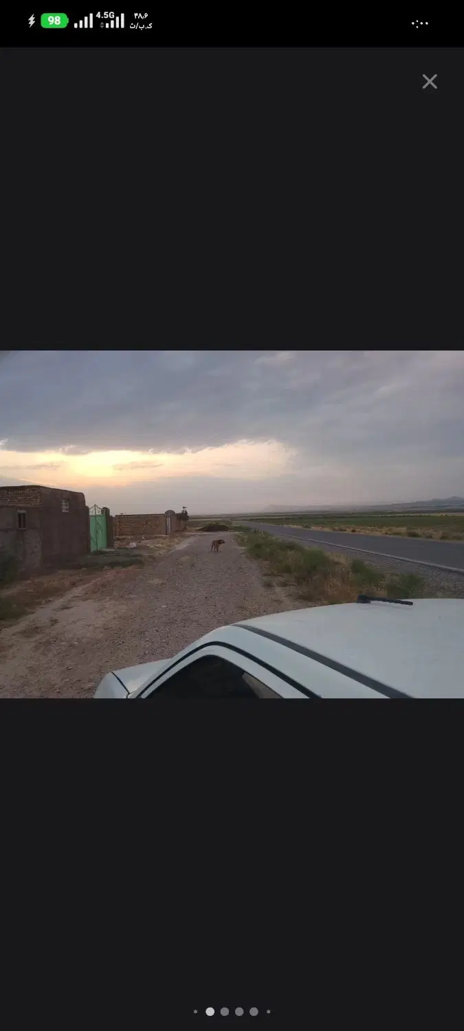 باغ پسته