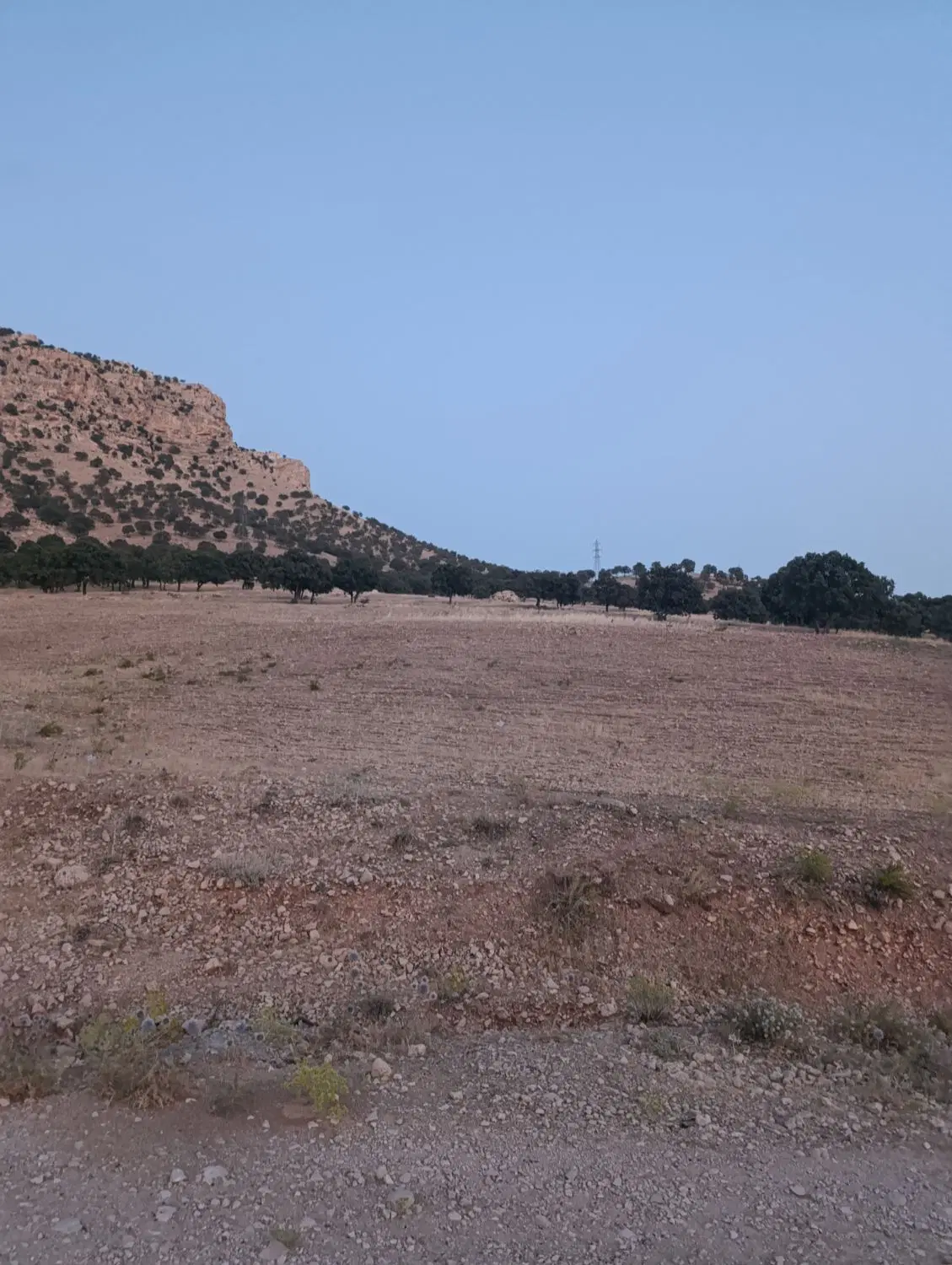 زمین کمربندی شمالی