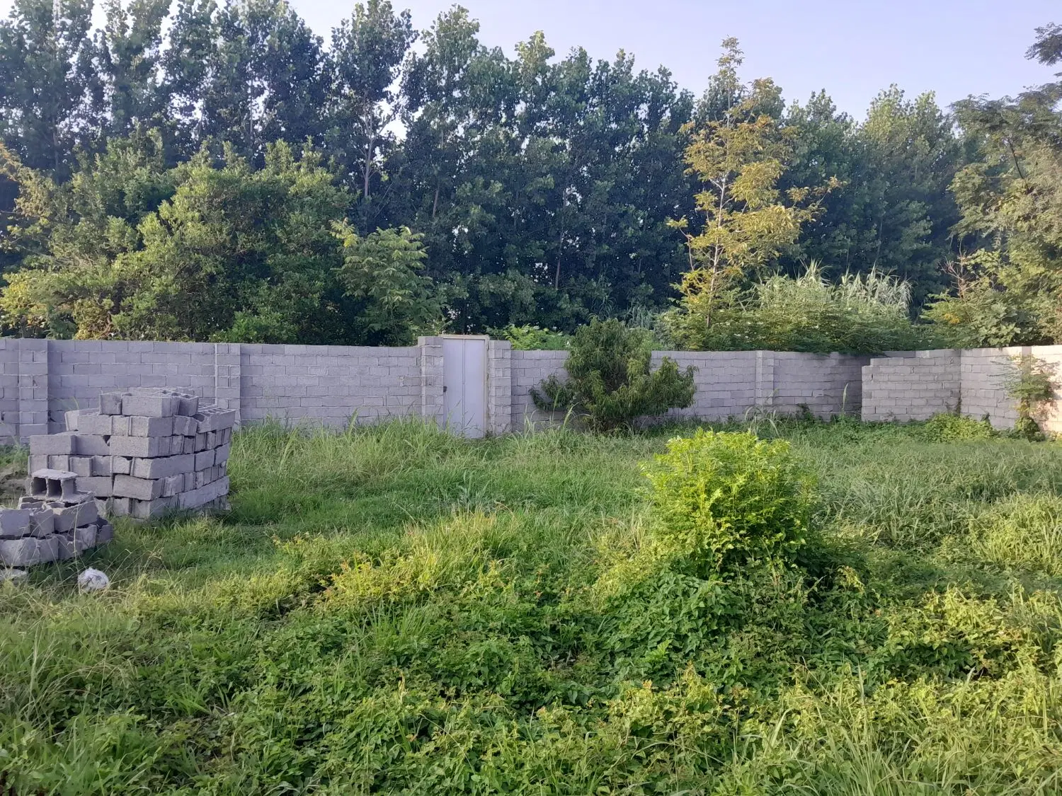 زمین مسکونی با نامه بنیاد