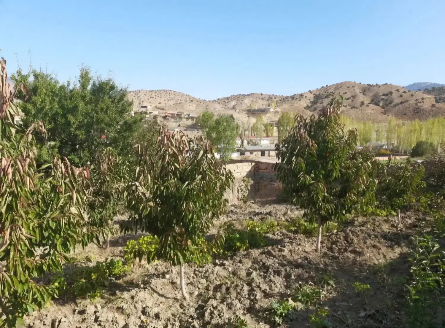 چهارباغ