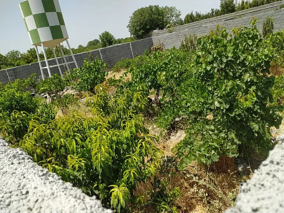 باغ ۲۸۰ متری_سرسبز و بکر_ معاوضه با خودرو