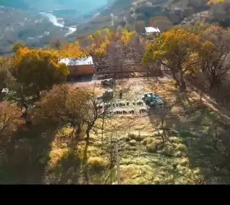 زمین