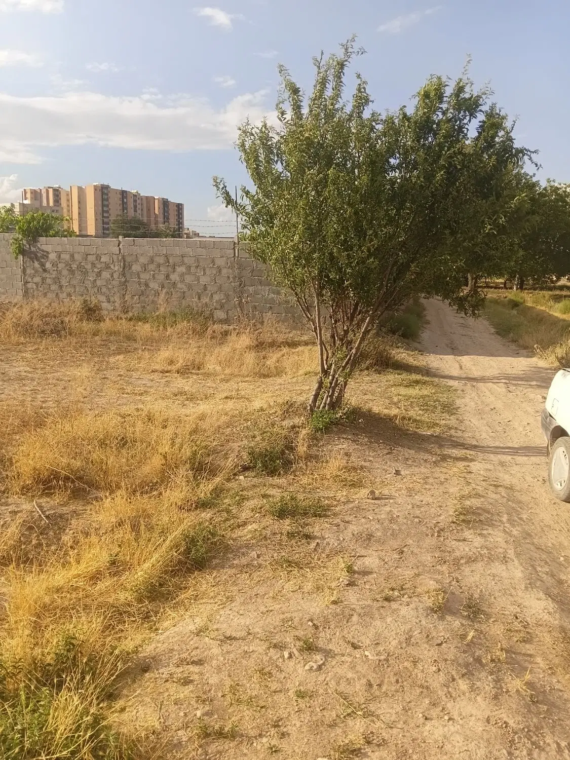 زمین ۶۰۰ متر