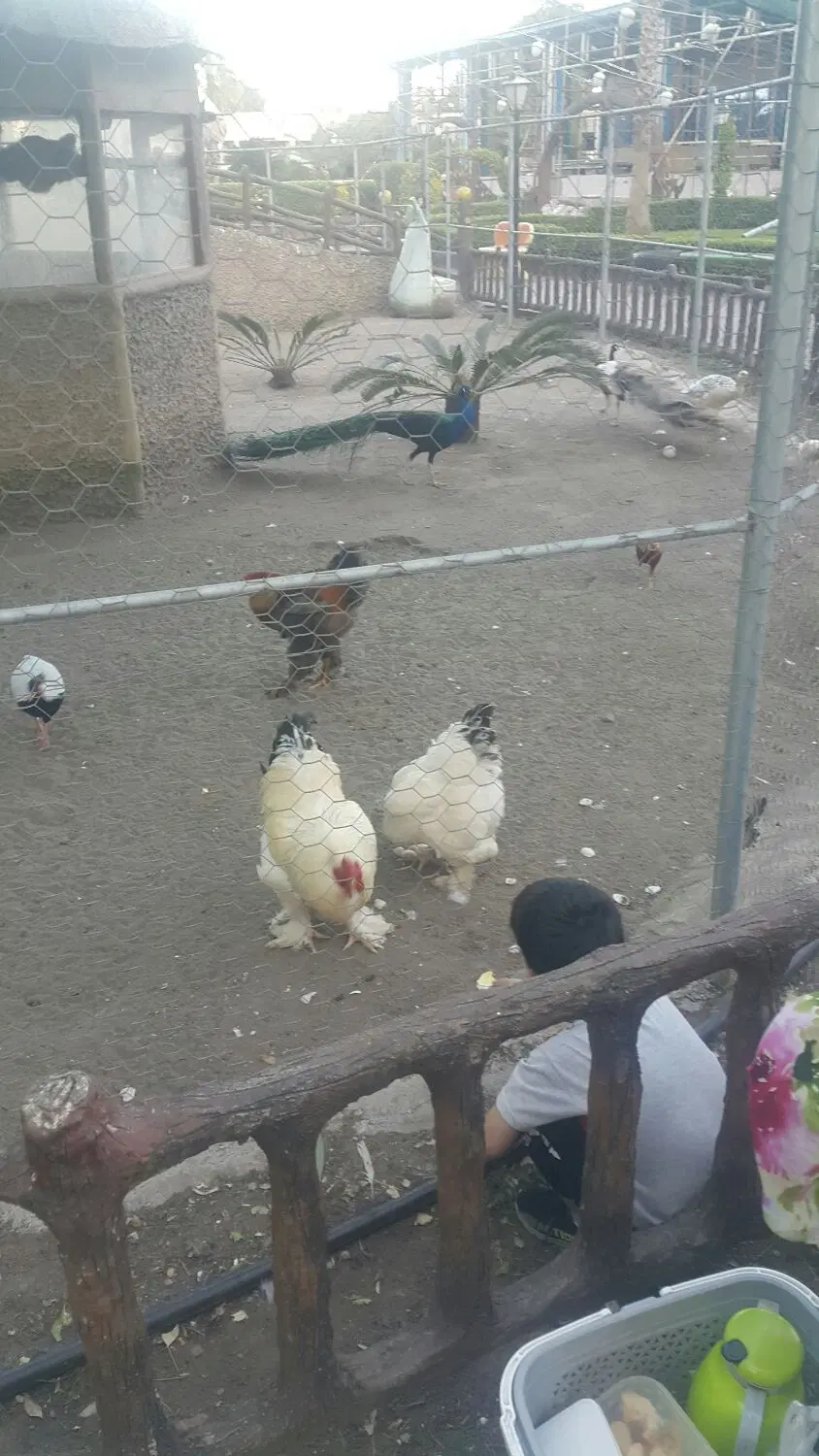 اجاره ی مغازه ی70متری