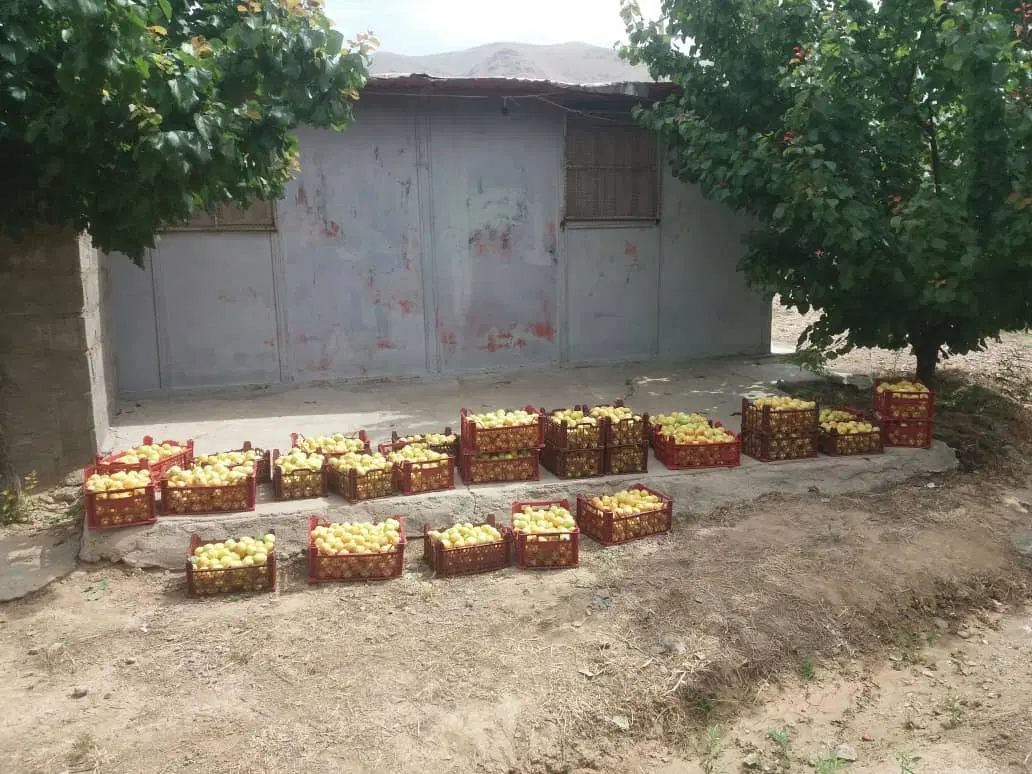 باغ روستای ژان