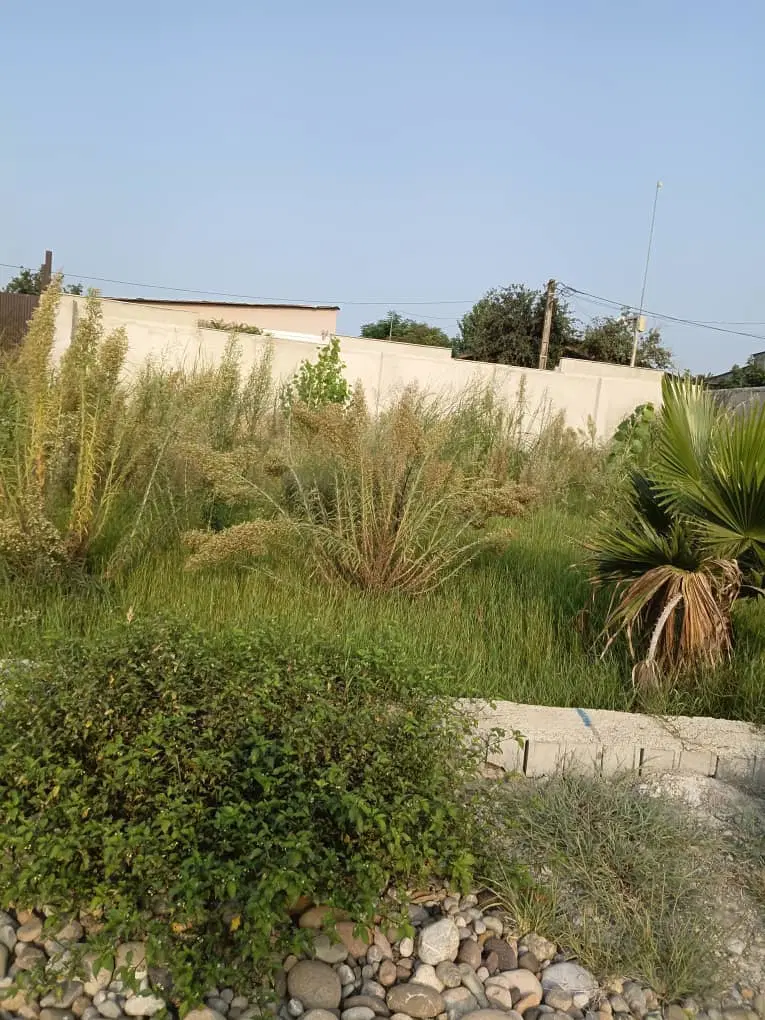 زمین باغی متری ۸ تومن مناسب  کلبه سوئدی یا ویلا