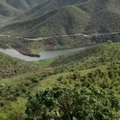 زمین کشاورزی (گاران)