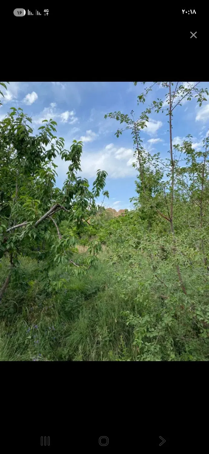 باغ مسکونی