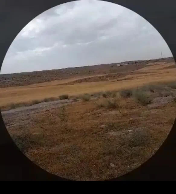 زمین کشاورزی 6هکتار