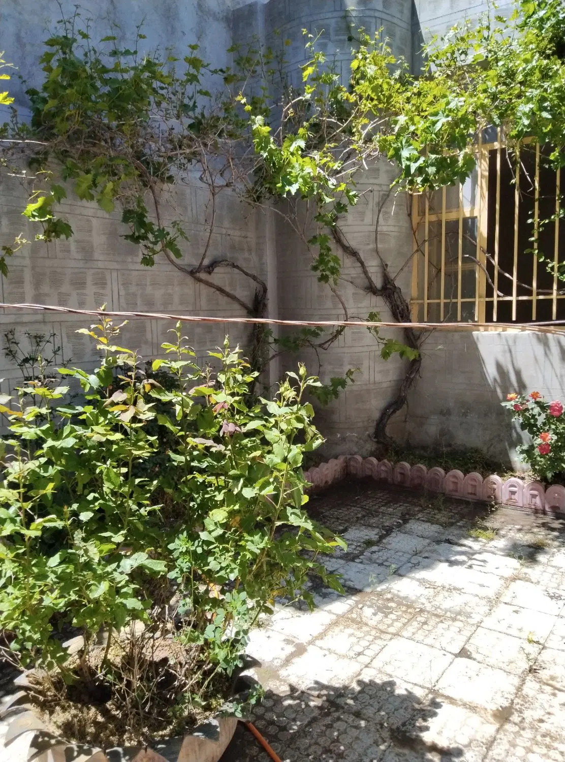 خونه ویلایی با موقعیت عالی 205متر  مسکونی و تجاری