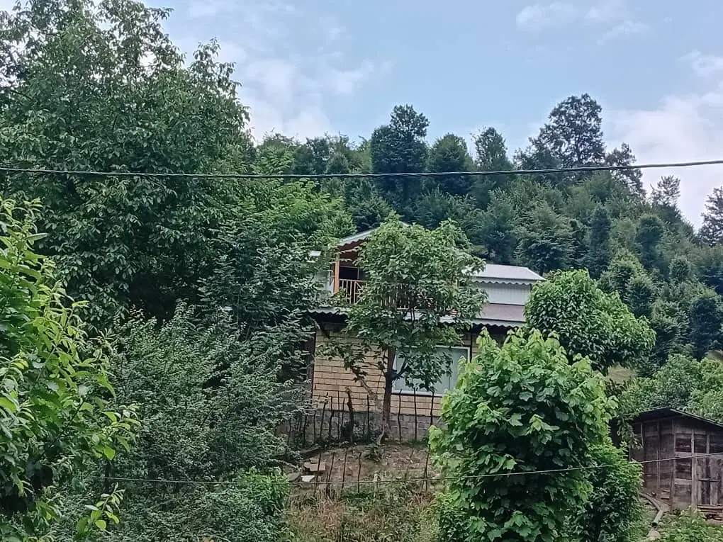 زمین شهرک ربیع