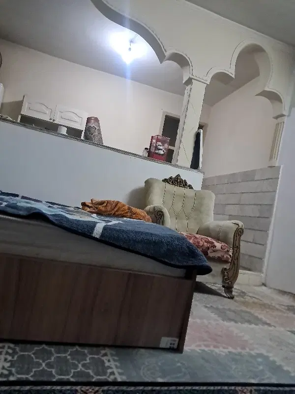 همخونه