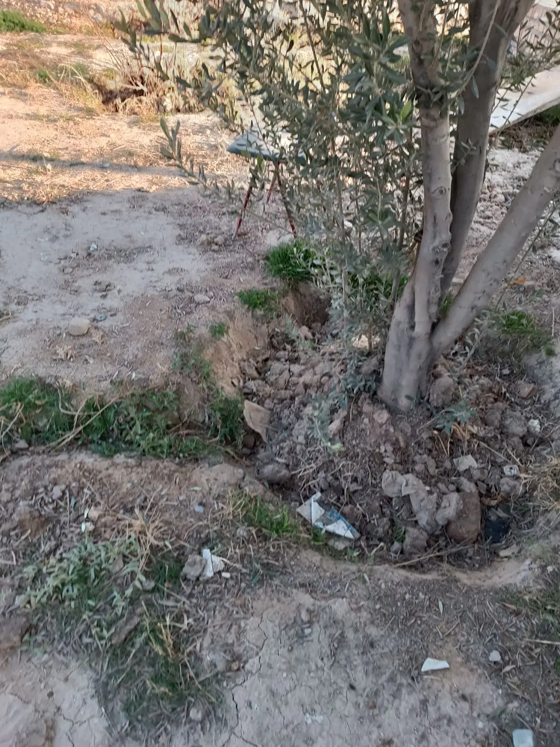 زمین 2500 متر چهار دیواری سند تک برگ