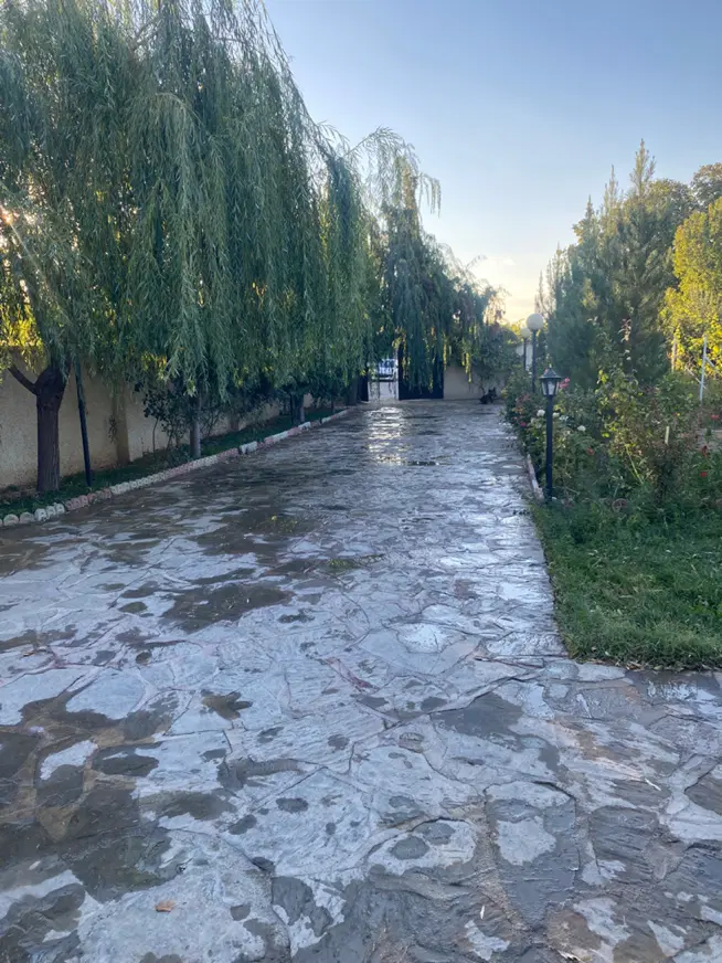 ویلا باغ
