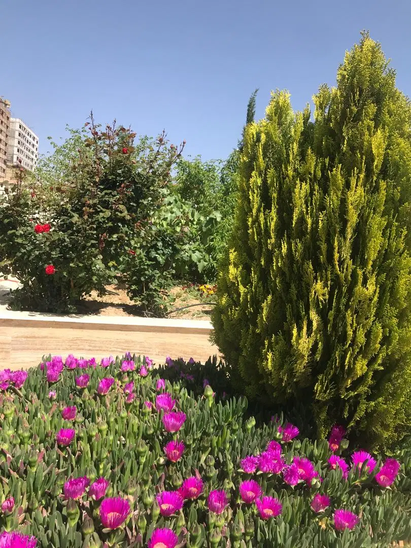 ۱خوابه شیک ۷۰متری مجتمع احسان البرز