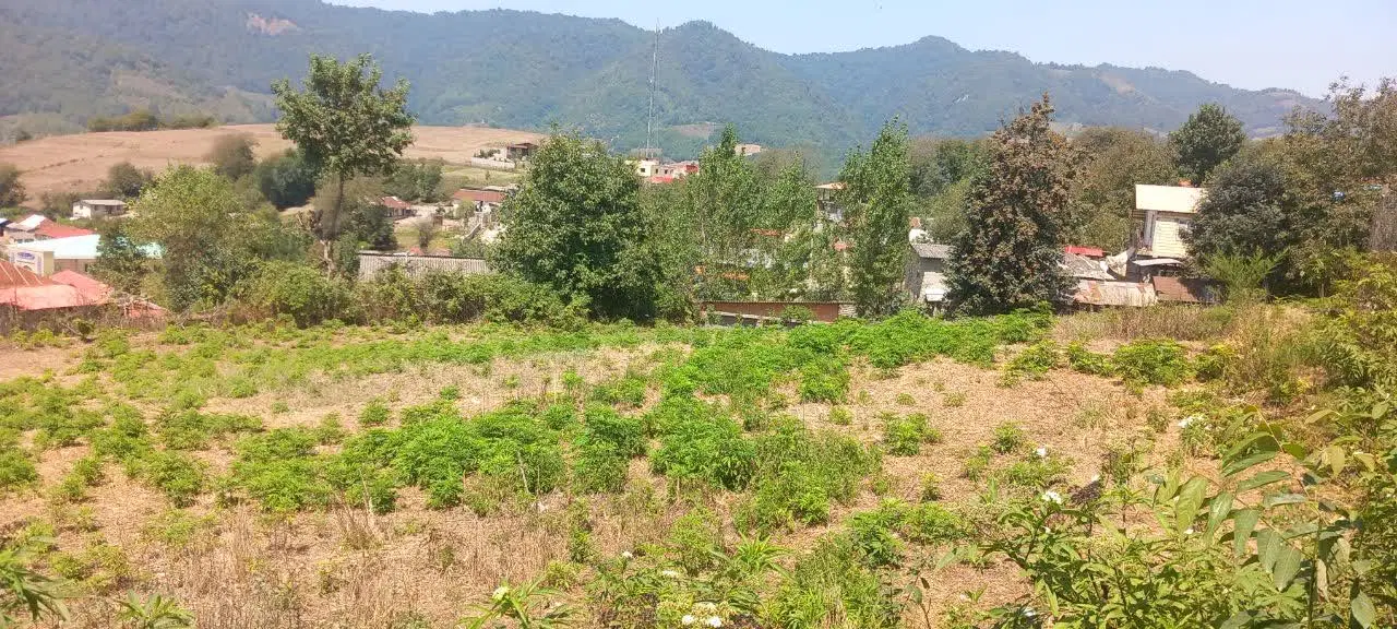 زمین