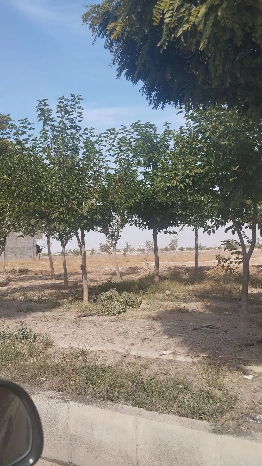 ۳ دانگ از ۶ دانگ زمین دادگستری