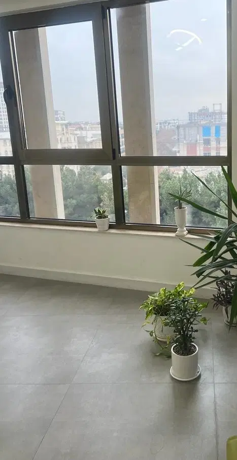اجاره اتاق مطب پزشکی