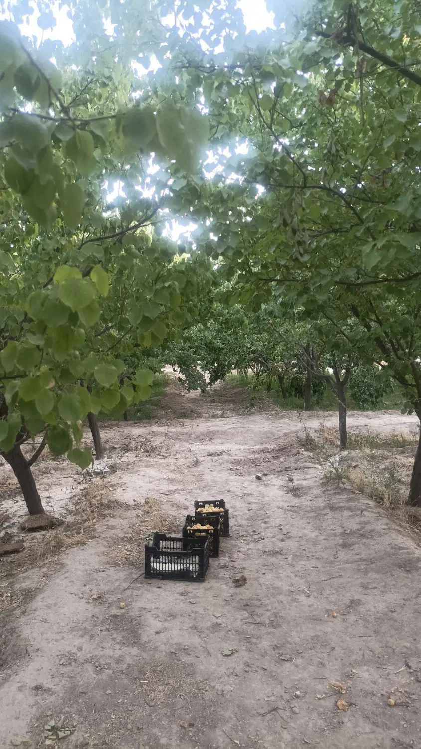 باغ ۸۰۰ متر مربع روستای بازمرگان معاوضه با ماشین