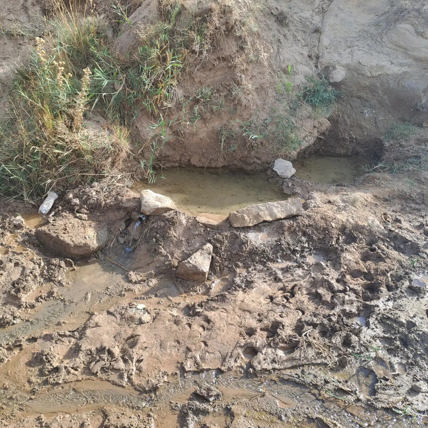 فروش زمین کشاورزی در روستای نهند