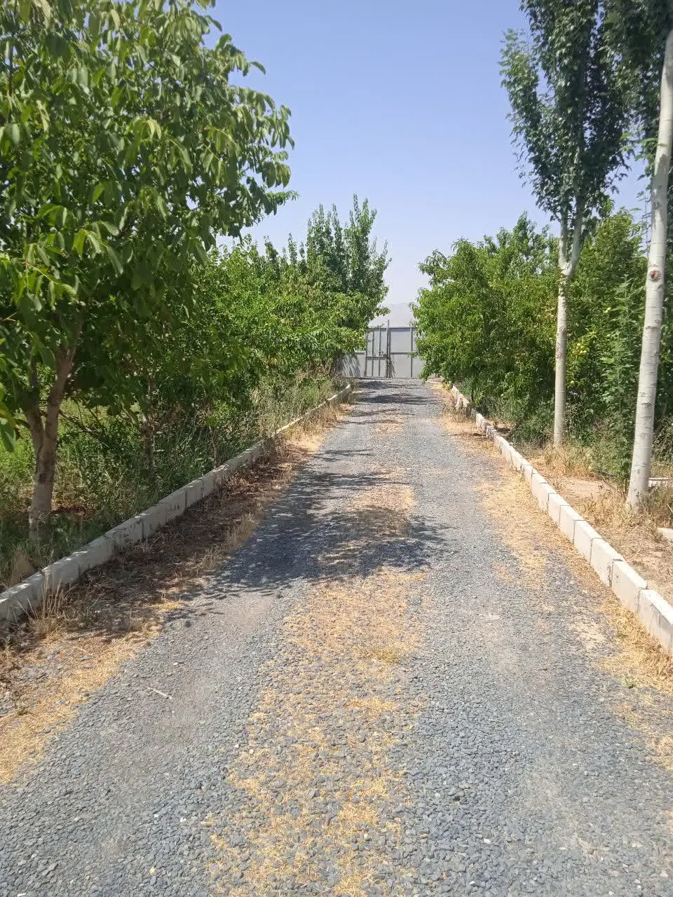 باغ چاهار دیواری