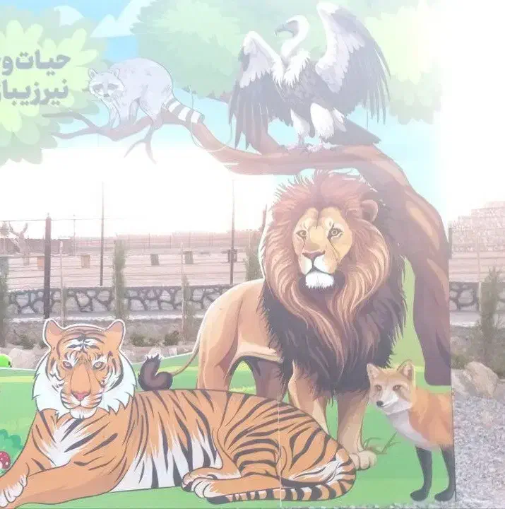 زمین شهرک فرهنگیان نظر آباد
