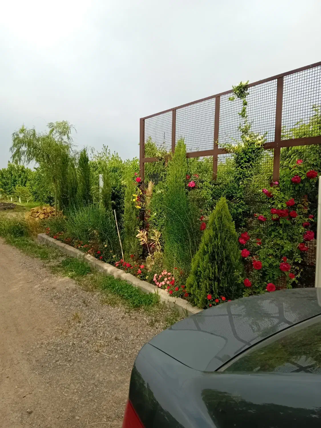 باغ