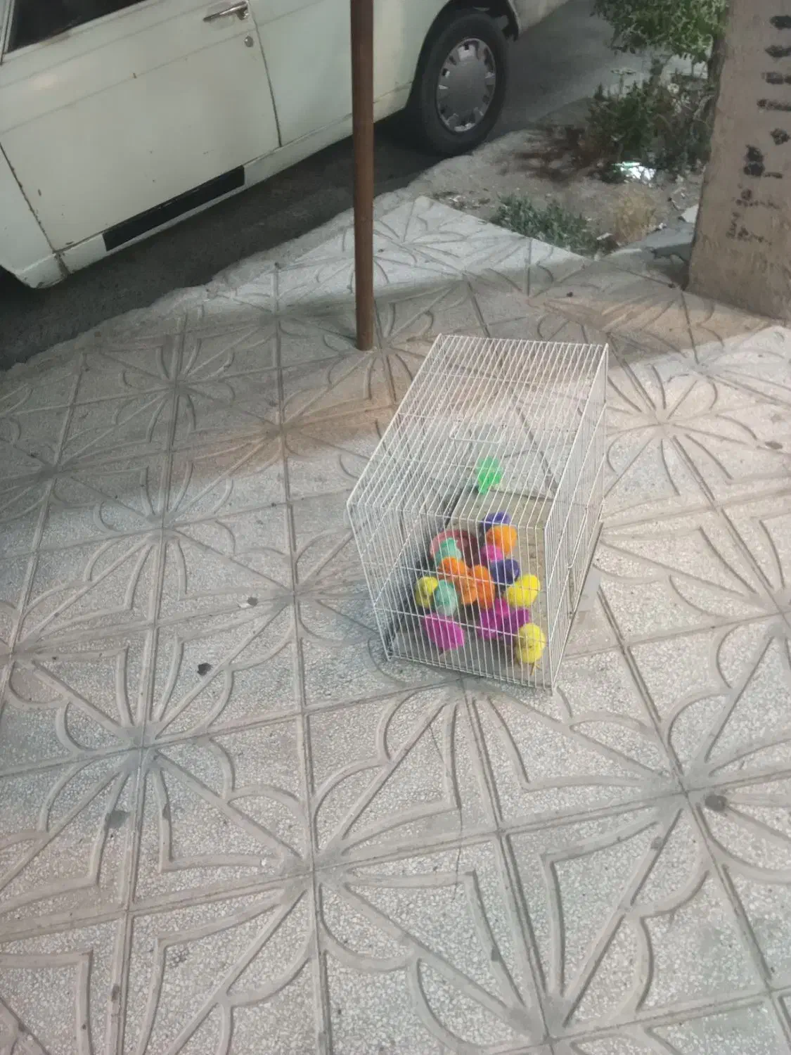 سوئیت اجاره روزانه