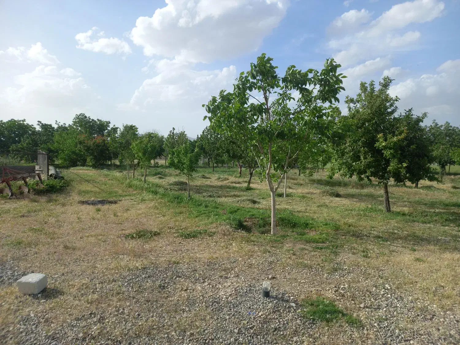ویلا باغ استیجاری