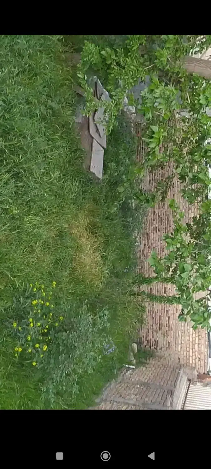 زمین مسکونی رشتقون