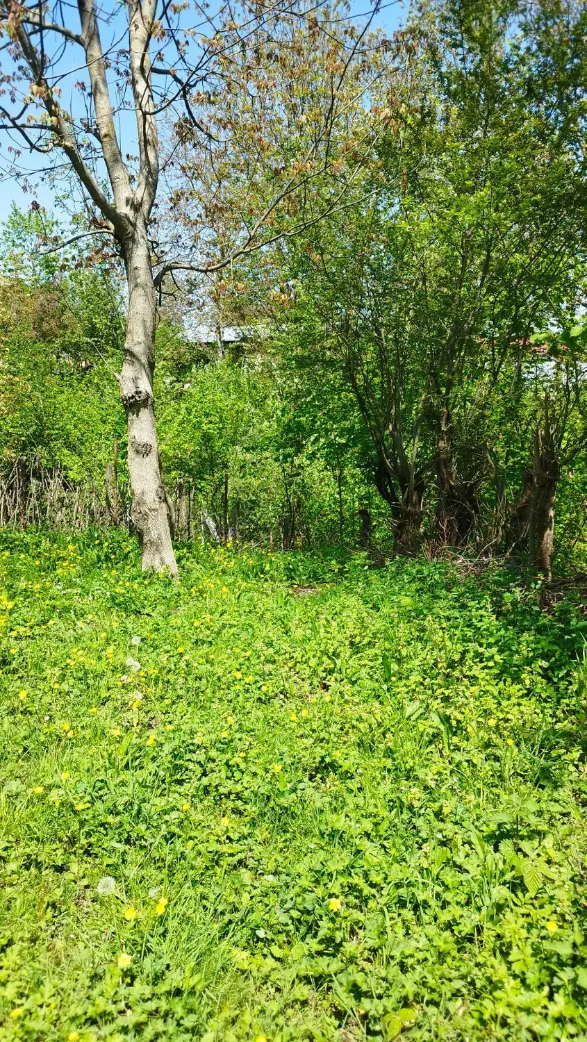 فروش خونه قدیمی  دوهزار - برسه