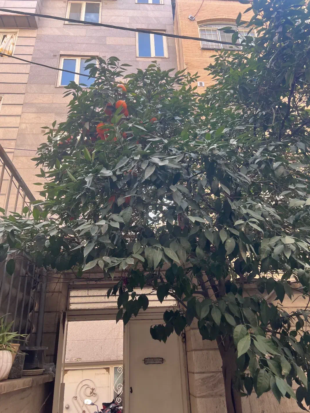 کلنگی ۱۰۰متر در دو طبقه ونیم (سلسبیل)