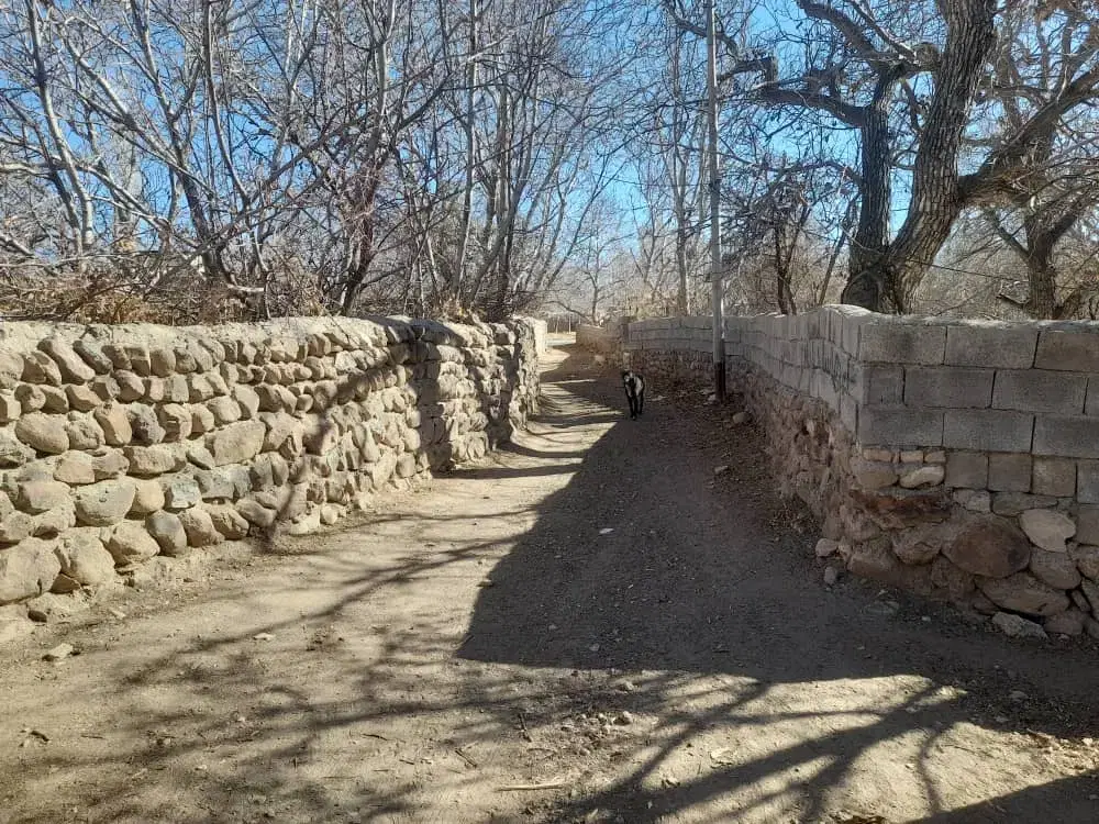 خانه باغ زمین