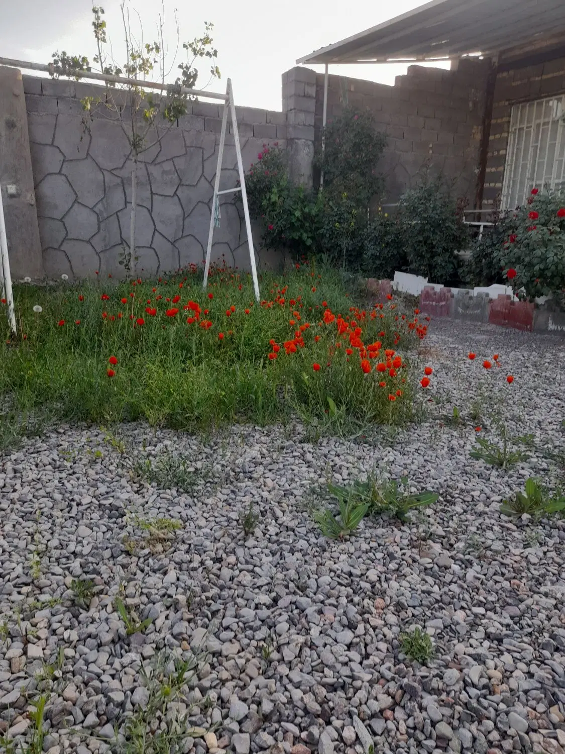 فروش باغ ویلا