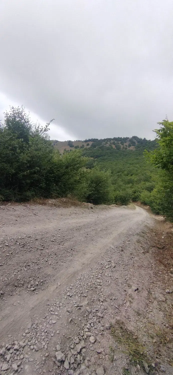 زمین  ۱۴۶ متر