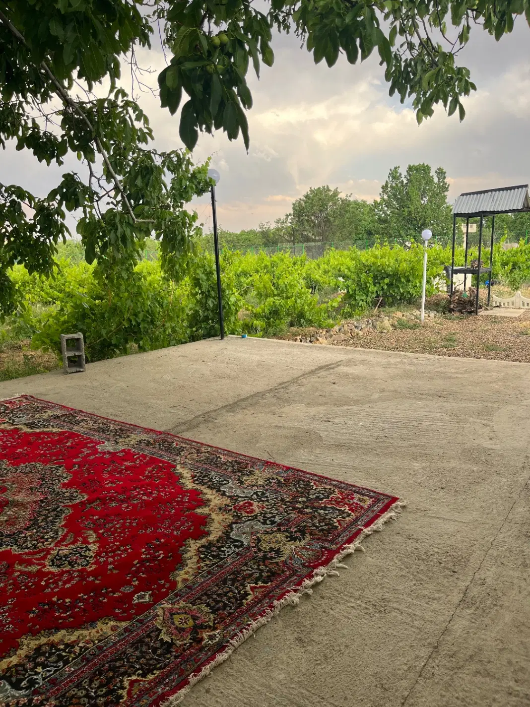 باغ پشت دهکده پارس