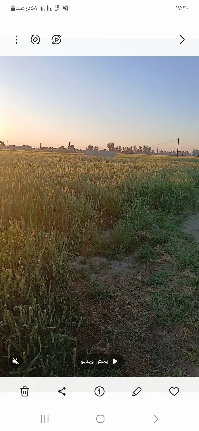 ۳۲ من زمین کشاورزی و ۳۰۰مترزمین مسکونی