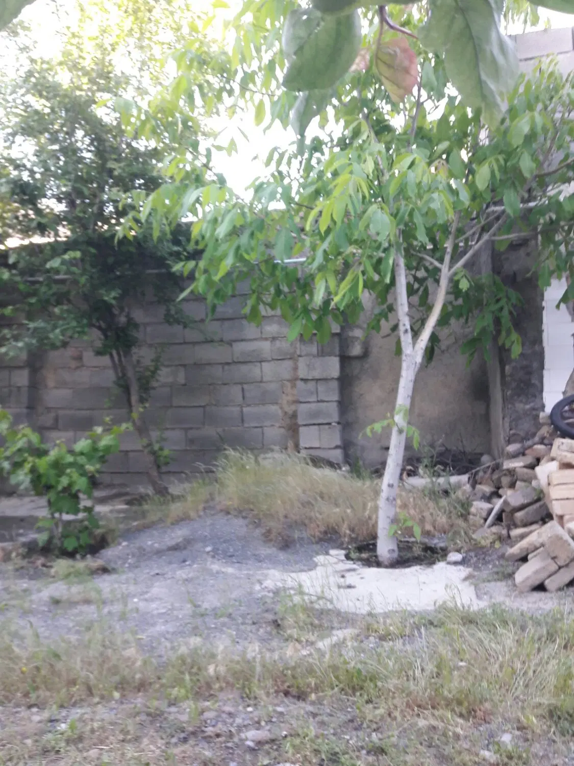خانه روستایی