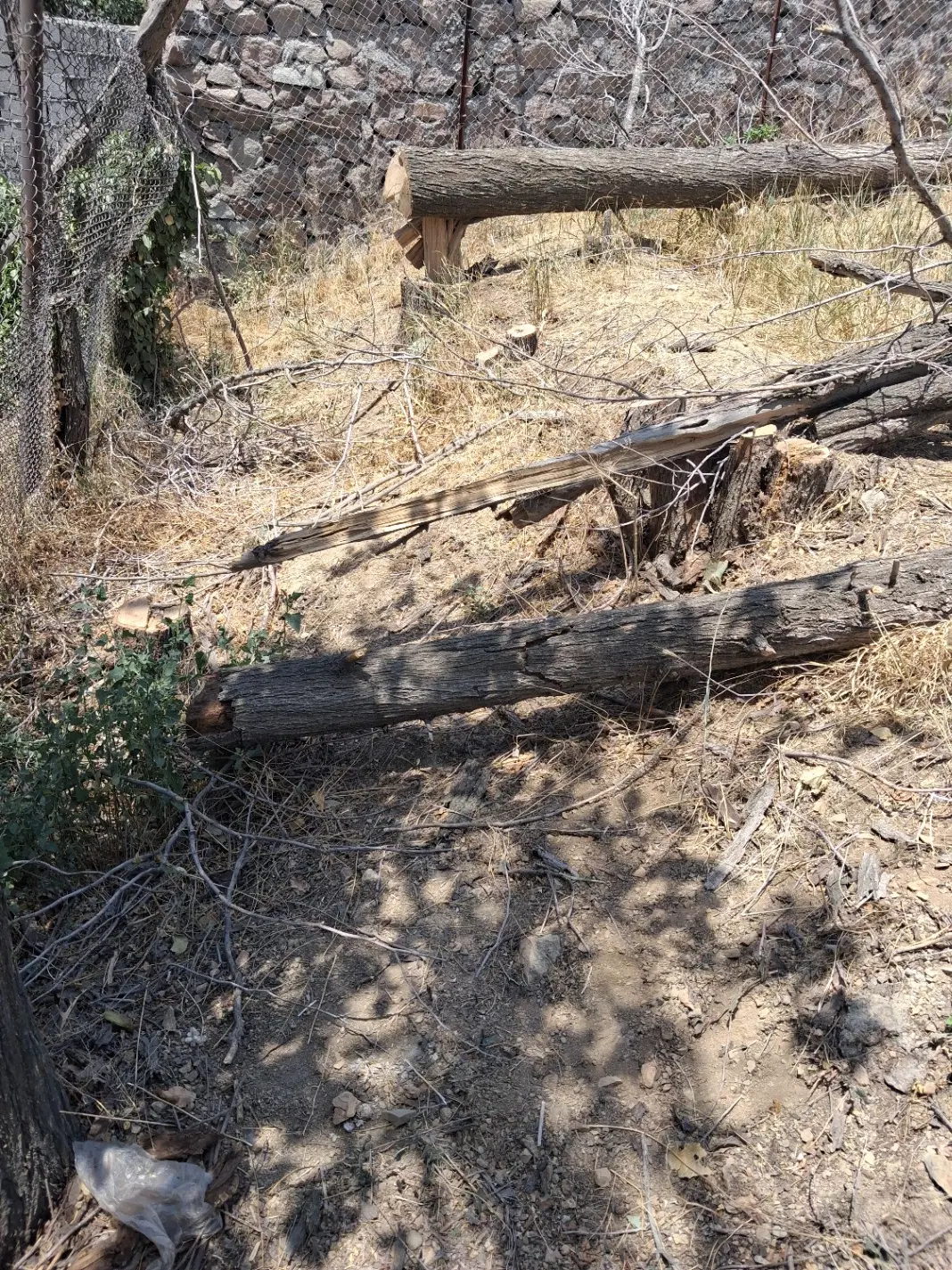 اجاره ویلای مسکونی