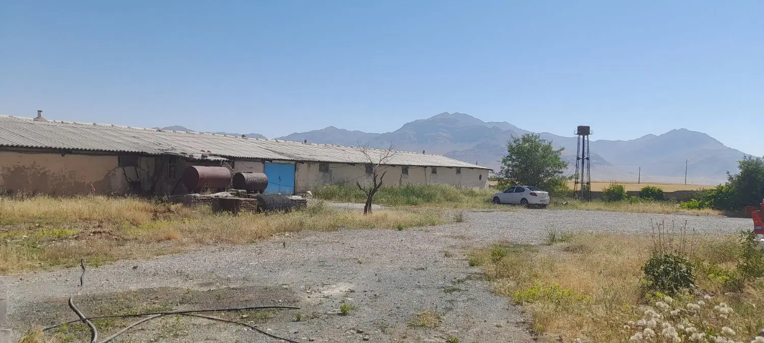مرغداری ۱۲ هزار قطعه ای