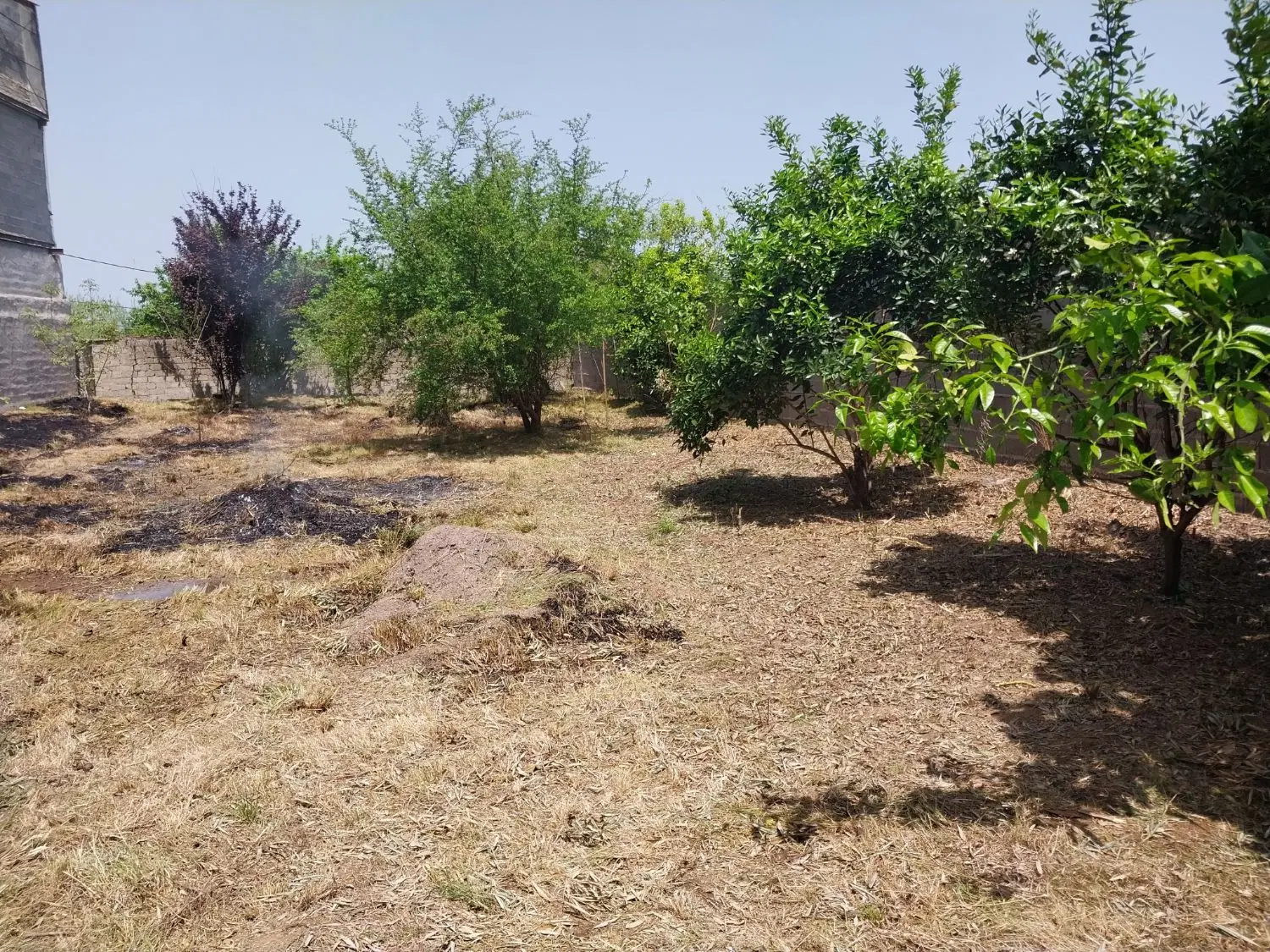 زمین ویلایی ۴۲۵ متری سنددار