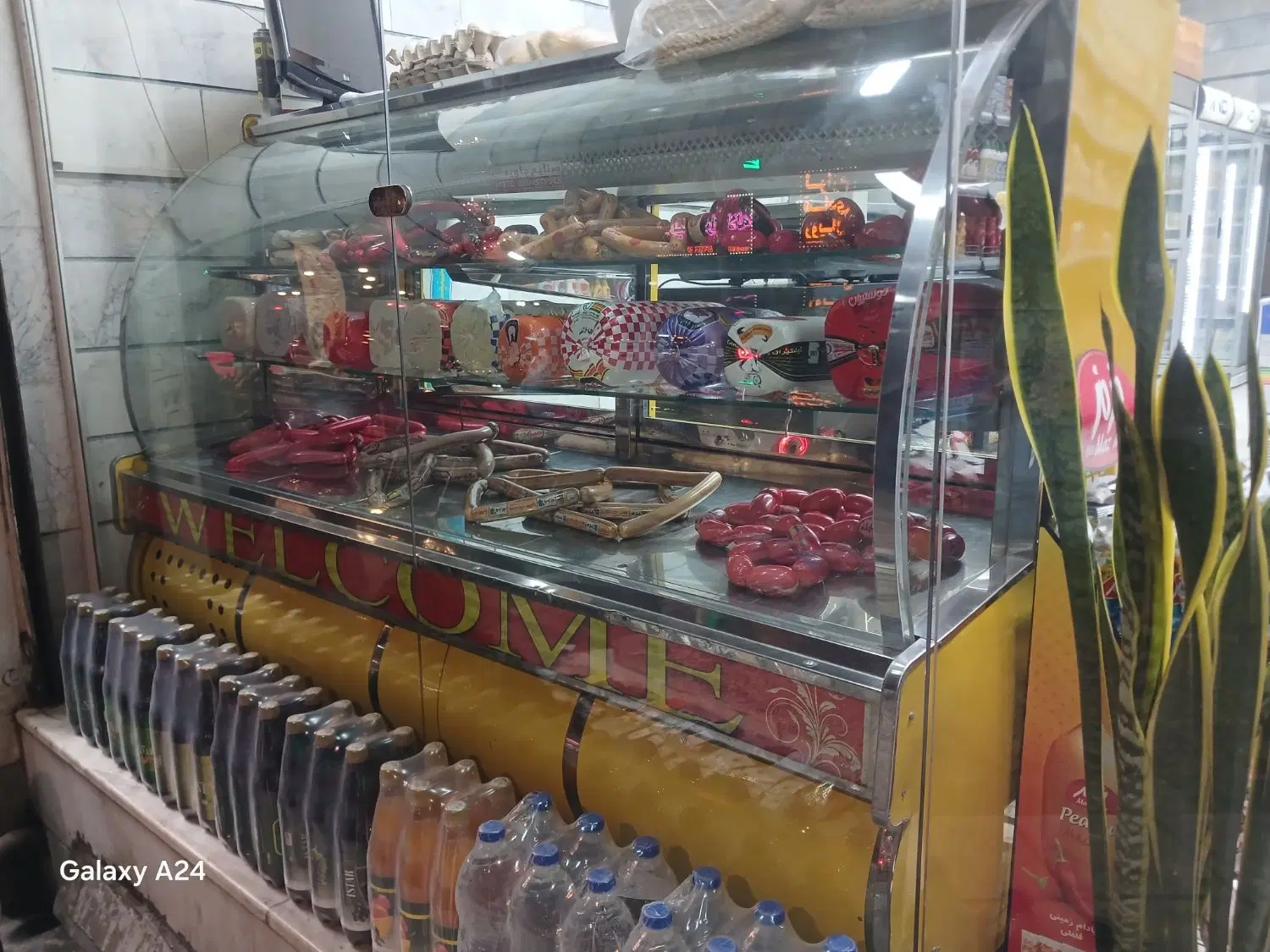 شراکت در پروتیین و مواد غذایی