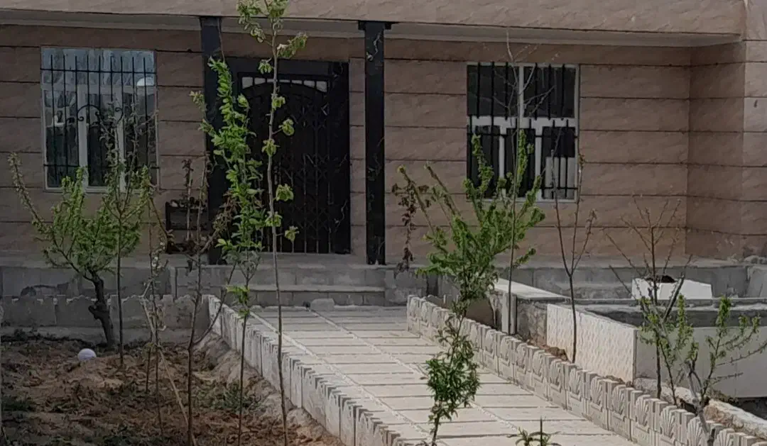 باغ بادرخت ۱۵ساله میوه و سپیدار   فوری    نصف قیمت